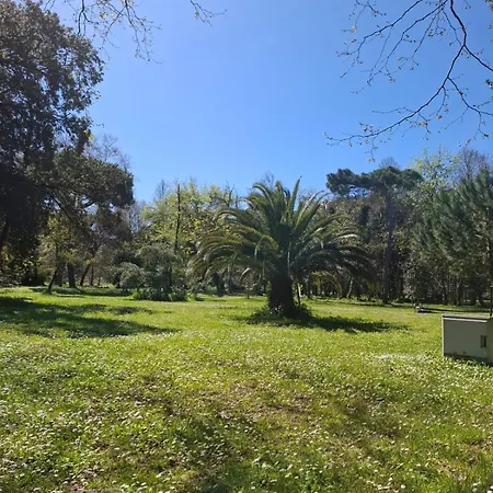 A Due Passi Dal Mare Lovely Viareggio