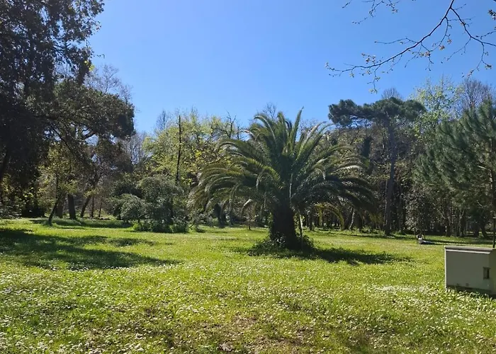 A Due Passi Dal Mare Lovely Viareggio